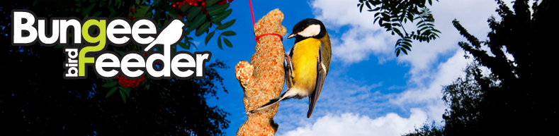 BUNGEE BIRD FEEDER